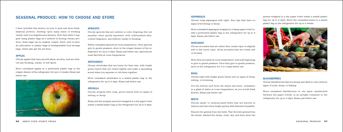 Great-Food-Spread-6